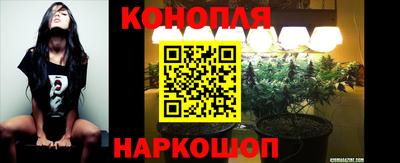 стафф Аргун