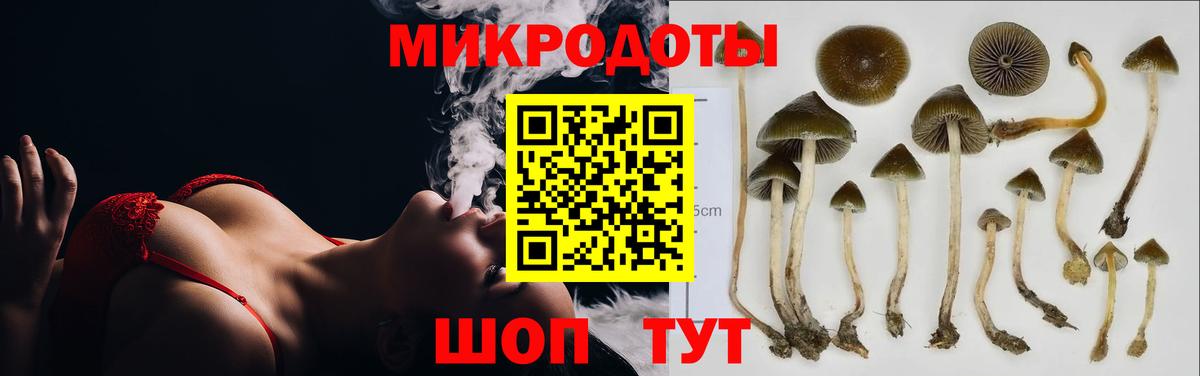 Псилоцибиновые грибы ЛСД  Вход с VPN  Выкса 